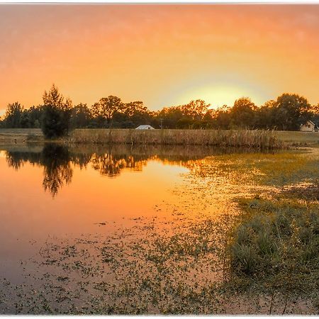 Madigan Wine Country Cottages Lovedale Dış mekan fotoğraf
