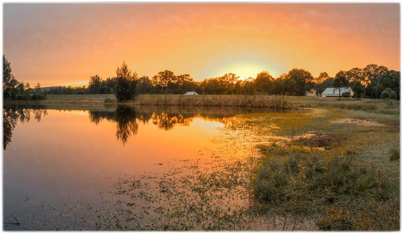 Madigan Wine Country Cottages Lovedale Dış mekan fotoğraf
