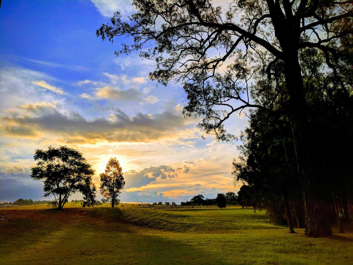 Madigan Wine Country Cottages Lovedale Dış mekan fotoğraf