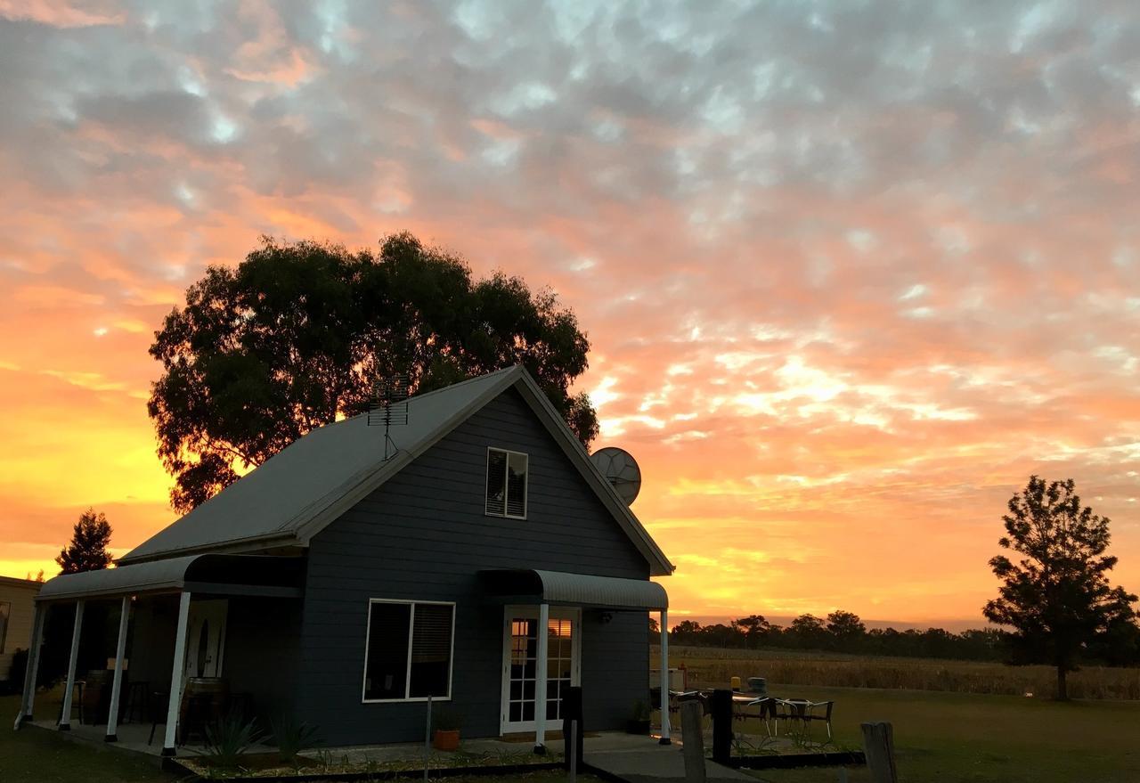 Madigan Wine Country Cottages Lovedale Dış mekan fotoğraf