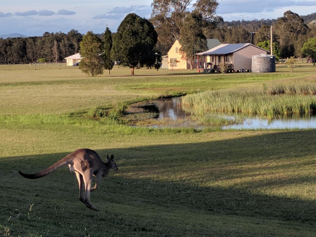 Madigan Wine Country Cottages Lovedale Dış mekan fotoğraf