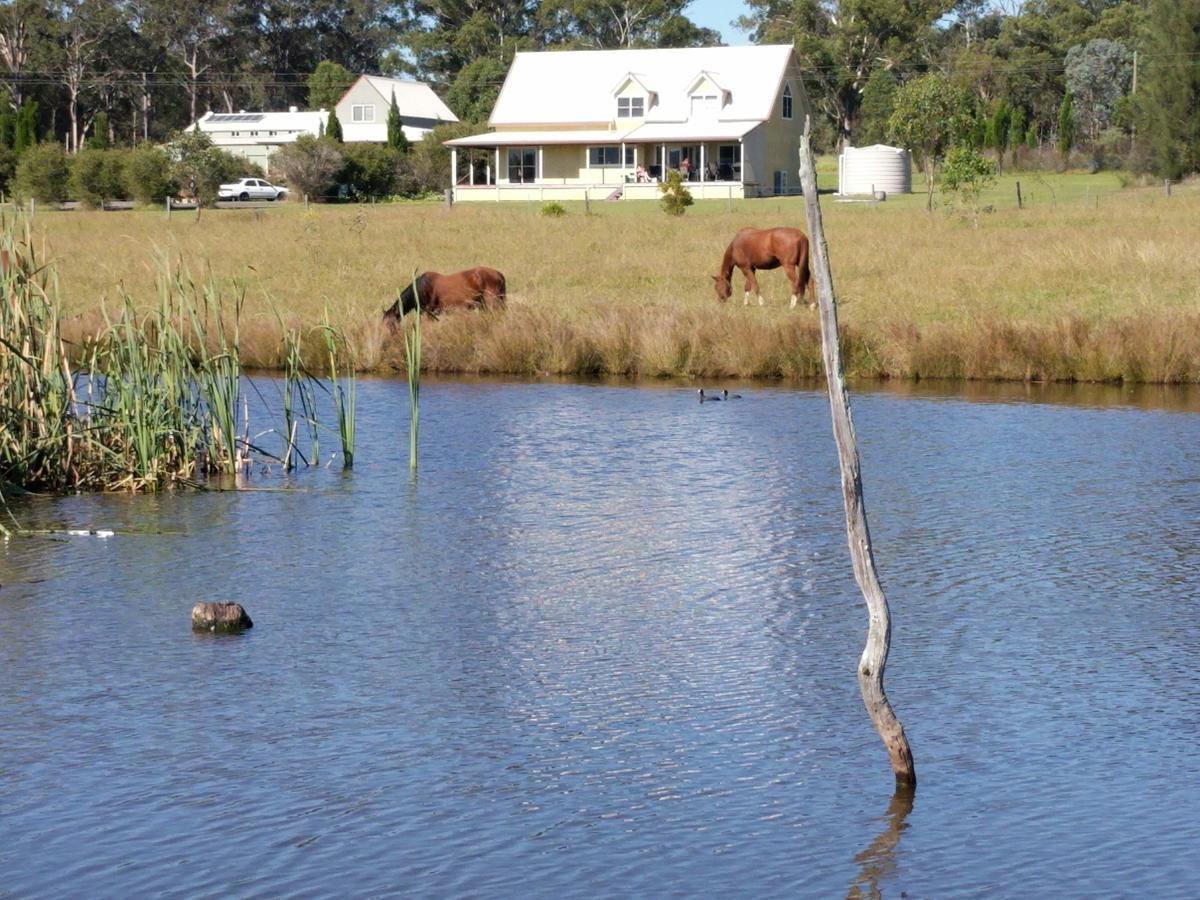 Madigan Wine Country Cottages Lovedale Dış mekan fotoğraf